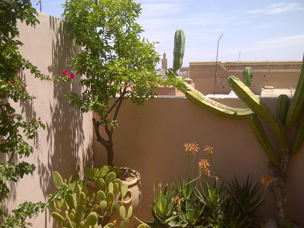 Riad Irene Marrakesh Luaran gambar