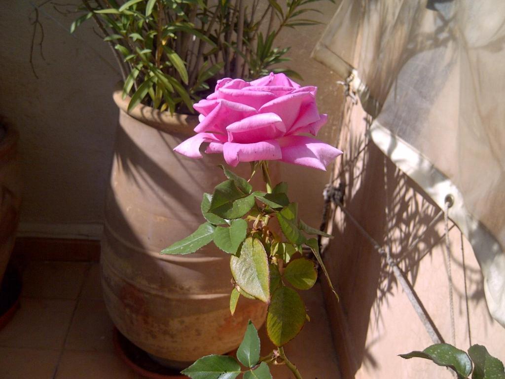 Riad Irene Marrakesh Luaran gambar